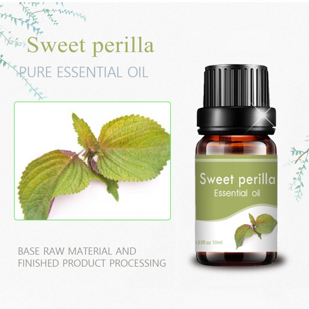 Grado terapéutico 10 ml de aceite de masaje de aceite de perilla dulce natural