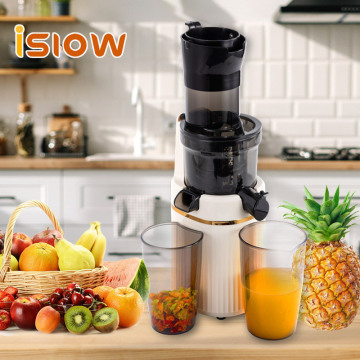 Δωρεάν δείγμα Hot Sell Extractor Fruit - SJ -022 Vertical Big Mouth Masticating Cold Press Slow Juicer