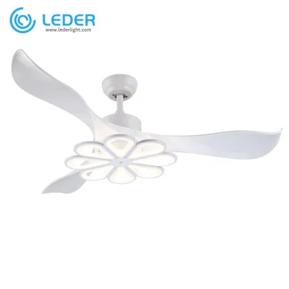 LEDER Electric Cool Ceiling Fan With Lights