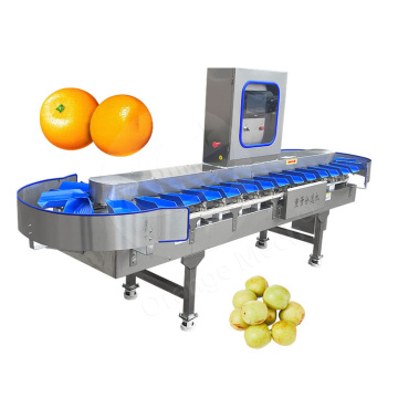 Automatic Weight Sorting and Grading Machine for Chickens and Frozen Fish with Conveyor Belt
