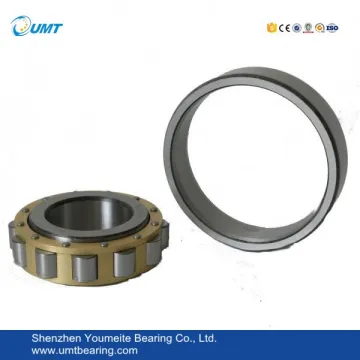 Cylindrical Roller Bearing RN307 Bearing 35*68.5*21mm