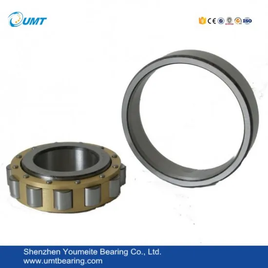 Cylindrical Roller Bearing RN307 Bearing 35*68.5*21mm
