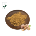 High Purity Walnut Kernel Extract