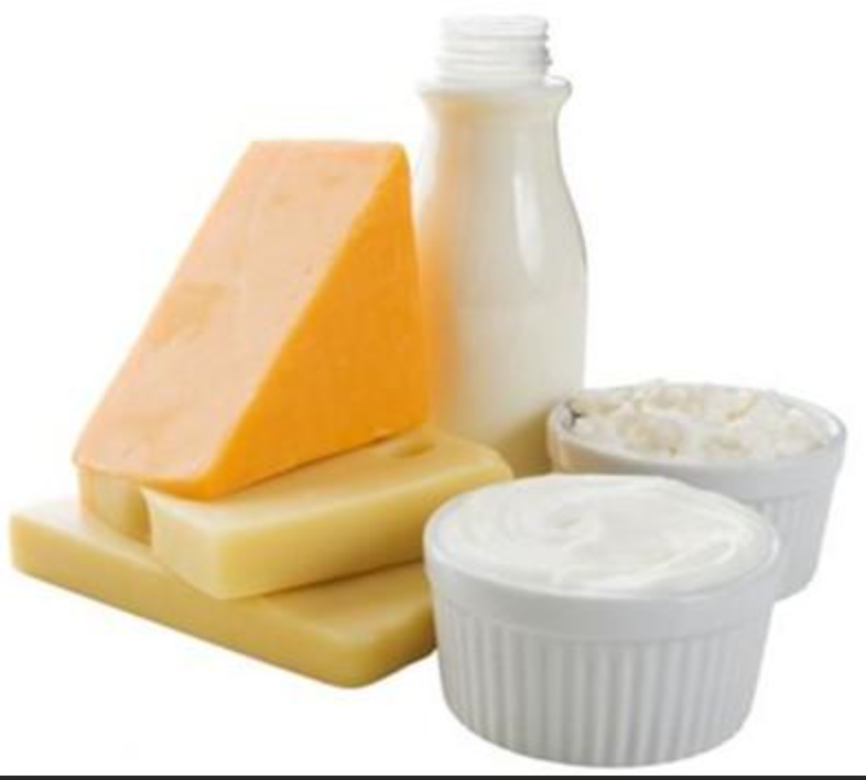 Bulk Lactase Supplier