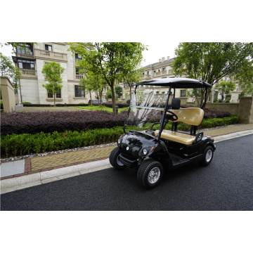 battery or gas powered two seater golf car