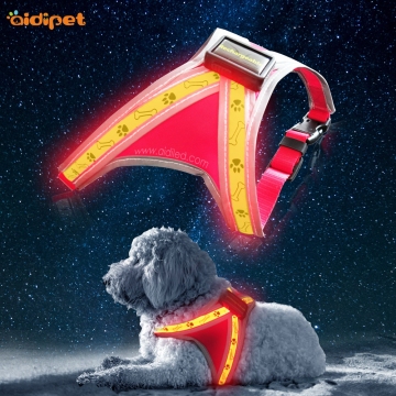 Fashion Led Harness For Small Puppy Dogs