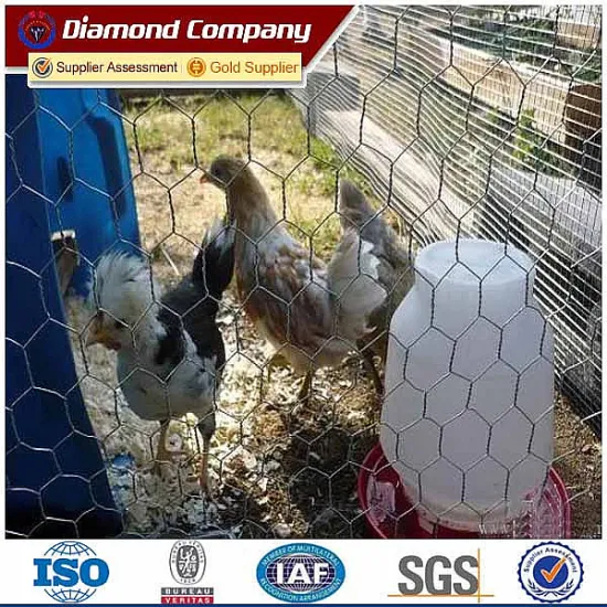 Hexagonal chicken wire mesh fence lowes chicken wire mesh roll chicken coop hexagonal wire mesh