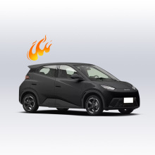 BYD Seagull 2025 Flying Edition 405km Long Range