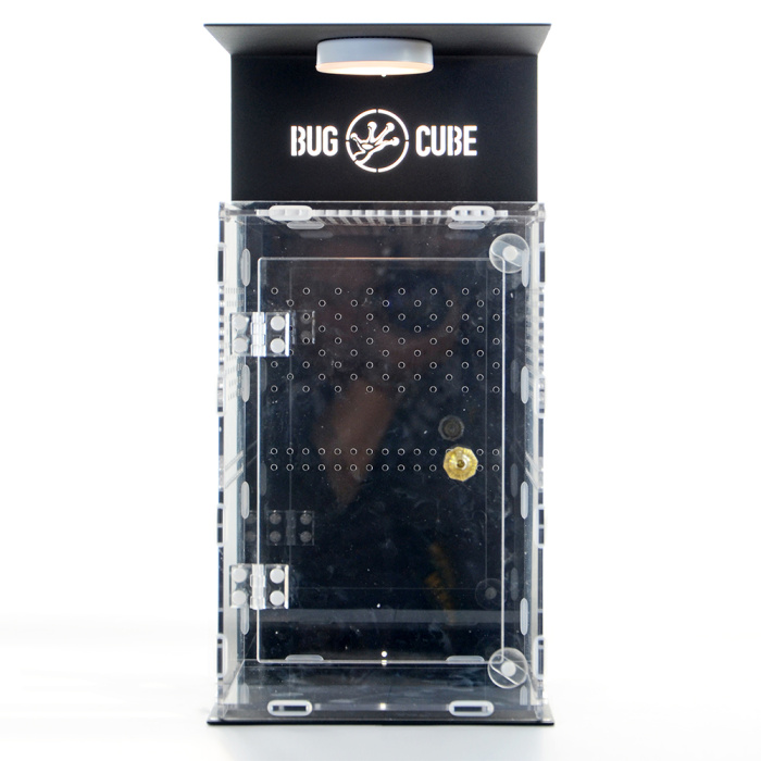 Caixa de acrílico de transmissão alta de tamanho personalizável para lagarto