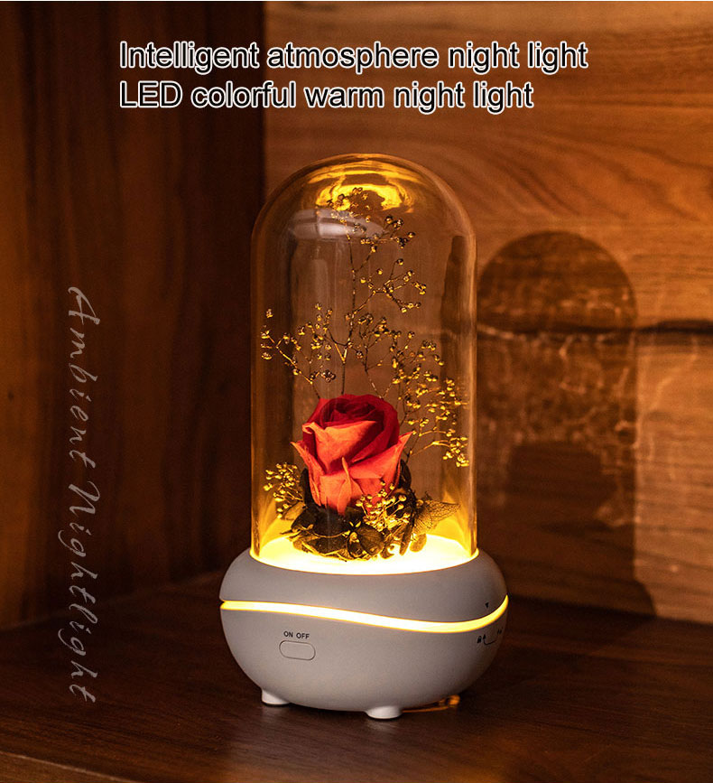 Fragrância de lâmpada de rosa Óleo essencial de vidro difusor sem água