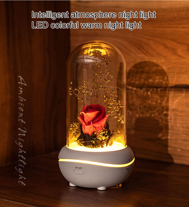 Rose Lampenduft Ätherisches Öl Glas wasserloser Diffusor