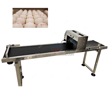 Multifunktionale Eierdruckmaschine