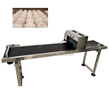 Multifunctional Egg Printing Machine