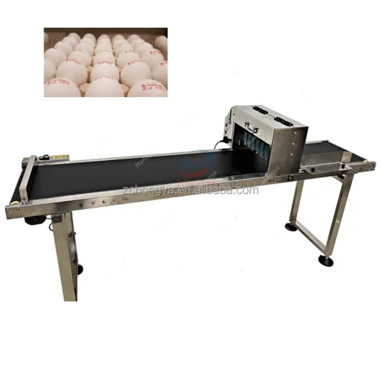 Multifunctional Egg Printing Machine