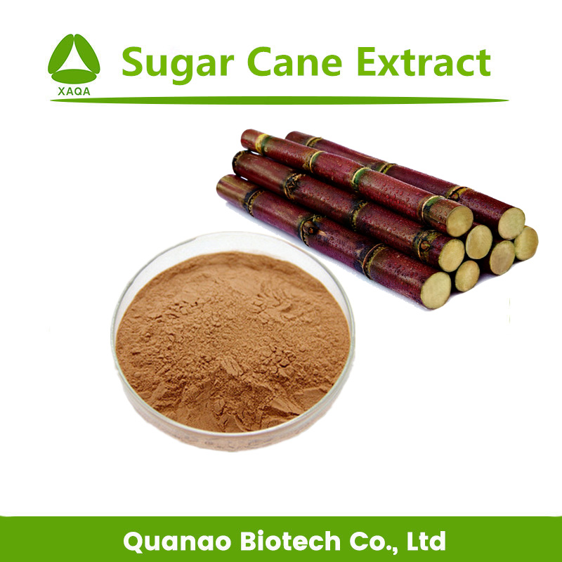 Zuckerrohr-Extrakt 10: 1 Zuckerrohrsaftpulver