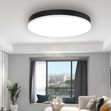 Flush Mount Ceiling Lamp LED Ceiling Light Fixture for Living Room