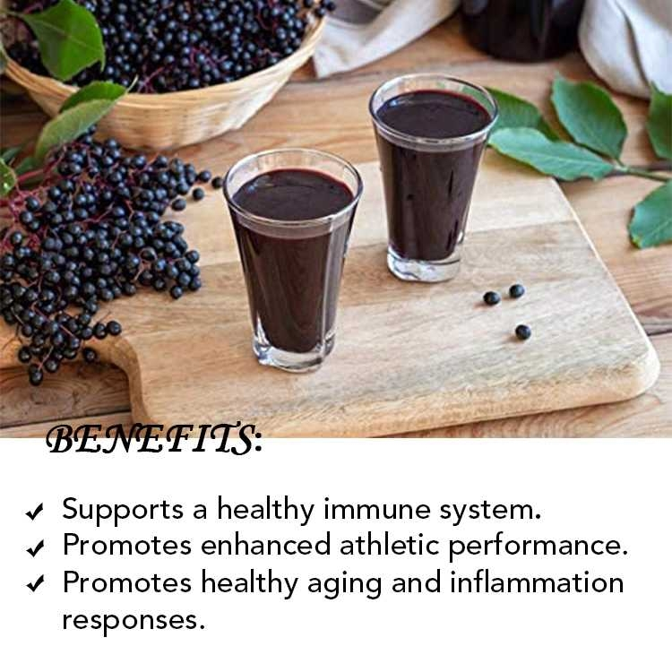 elderberry fruit Extract powder