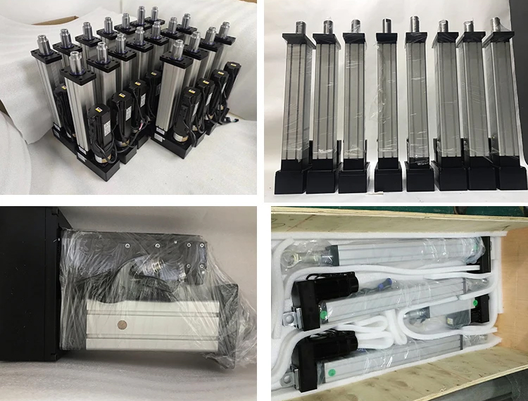 Ball Screw and Linear AC Servo Actuator