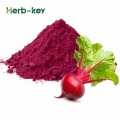 Organic beet root extract beet root juice powder