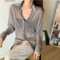 Women Long Sleeve Sheer Top