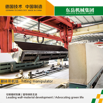 Professional used aac block plant aac block mould for India