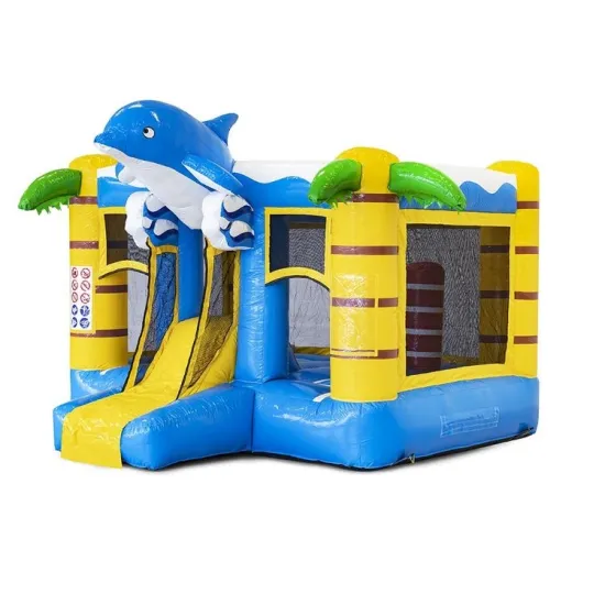 Kids Bouncer Combo: Dolphin Water Slide & Inflatable Castle