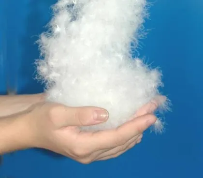 50% Washed White Goose Down