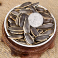 Roasted Sunflower Seeds nutrition