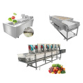 Fruit Washing Equipment Fruit Cleaner Machine