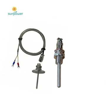 Pt100 Sanitary RTD Temperature Sensor with Thermowell: Precision Measurement Solutions