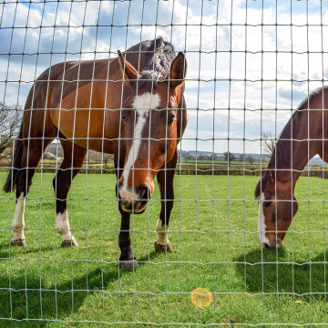 Galvanized Goat Knot Veldspan Fence 1.8m x 98m Roll for Secure and Affordable Livestock Enclosure