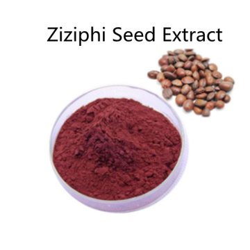 Buy online active ingredients Ziziphi Seed Extract powder