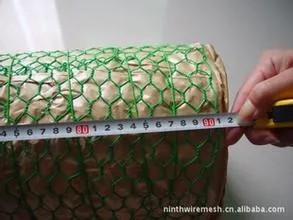 0.6mm 1" pvc coated green Chicken wrie / Chicken wire mesh / Hexagonal wire fencing