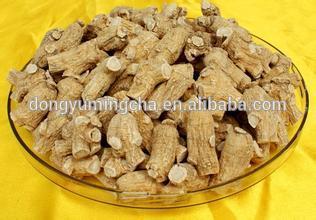 High Quality korean ginseng powder 80%, American ginseng extract