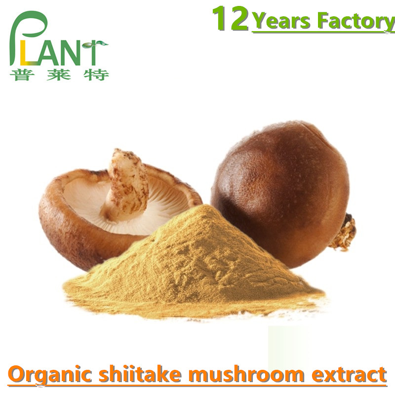 Shiitake Mushroom Extract