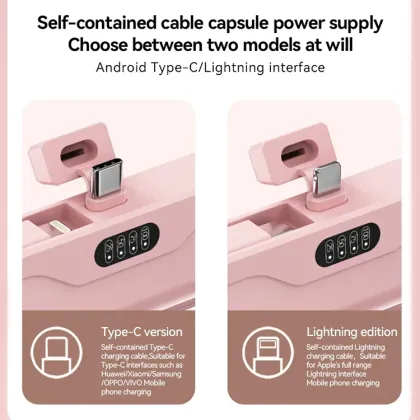 2-in-1 Fast Charging Power Bank for iPhone, Samsung, and Huawei - Type-C & Plug & Play