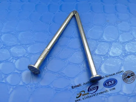 HOT SALE common nails/common iron nail/common wire nail