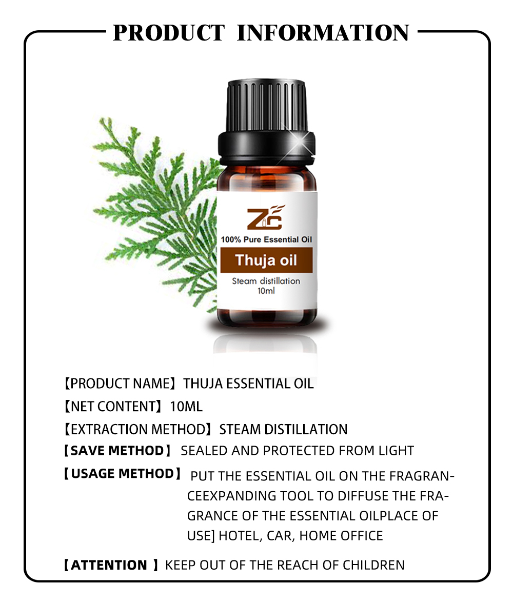 Thuja Essential Oil pure essential oil