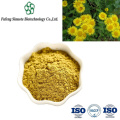 Premium Duhaldea Nervosa Powder Extract for Natural Wellness