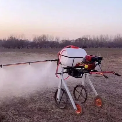 High Quality Gasoline Engine Power Spraying Machine Hand Boom Sprayer