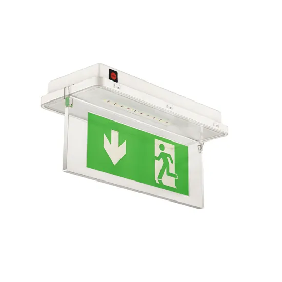 Customized Fashion Design Exit Light with Emergency Function by JIMING