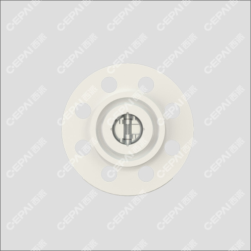Dual Plate Check Valve