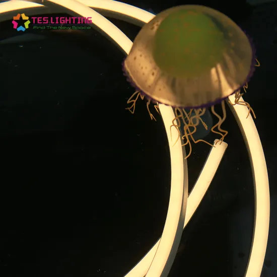 neon led strip 12v outdoor waterproof ip68