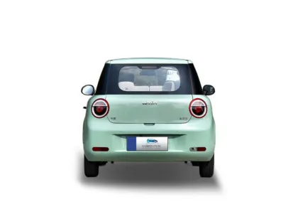 Changan Lumin Honey Qin Model