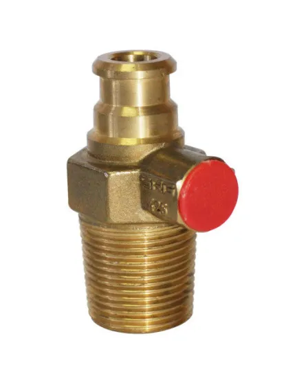Custom Kitchen Lp Cylinder Brass Gas Valve For Home Cooking Tl-cs-24