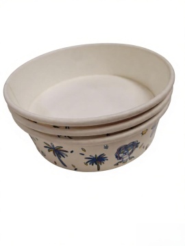 Disposable Take Out Salad Bowls with High Quality
