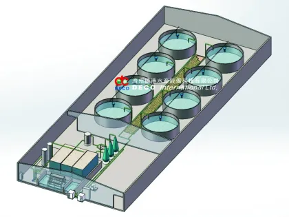 100m3 DECO Recirculating Aquaculture System for catfish