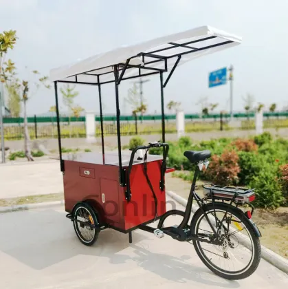 Electric Bike for Cold Pressed Juice and Ice Cream Vendors