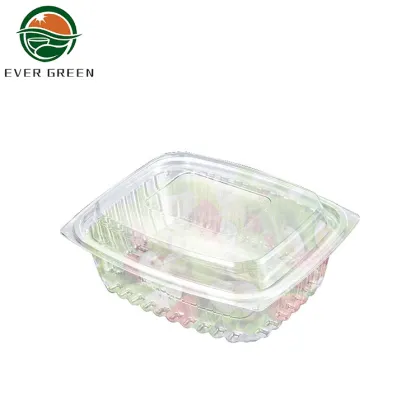 Disposable Plastic Fresh Salad Container Packing Box