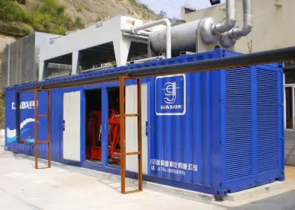 New Energy Waste Management Biogas Generator Power Plant/ Biogas Tank/ Biogas Bag/ Biogas Scrubber/ Biogas Holder/Biogas Bag